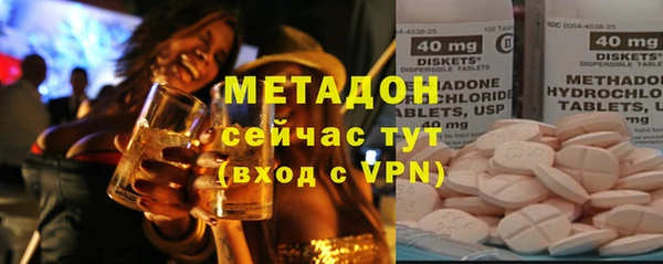 шишки Белокуриха