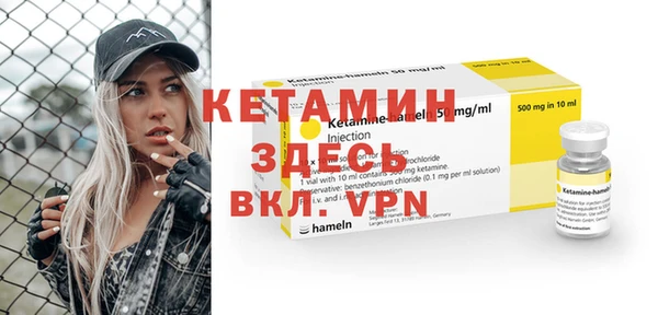 шишки Белокуриха