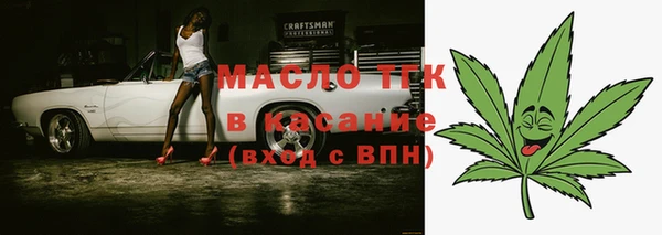 шишки Белокуриха