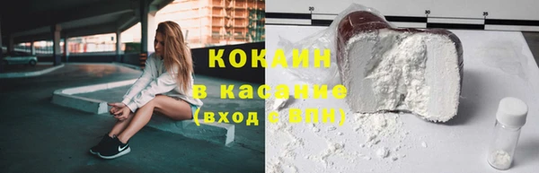 шишки Белокуриха