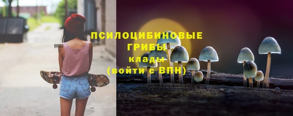 ГАЛЛЮЦИНОГЕННЫЕ ГРИБЫ Беломорск