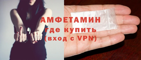 шишки Белокуриха