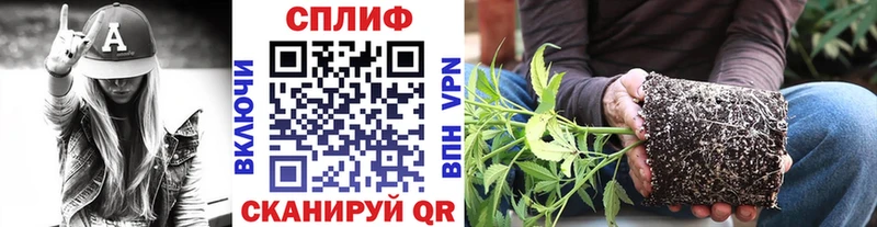 Конопля ГИДРОПОН купить сайты Электроугли
